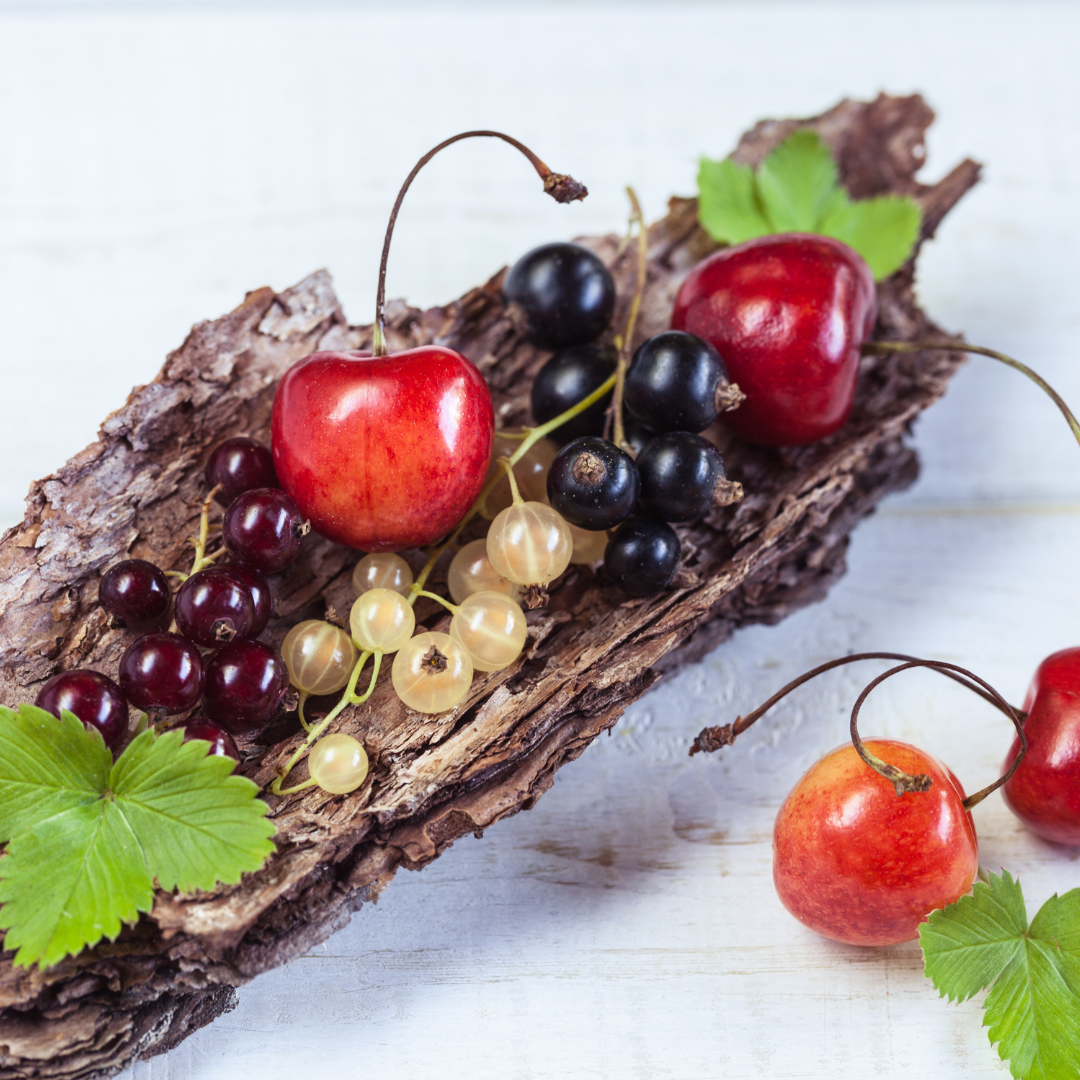Cerise & Groseille | Oursons infusions Sans Gluten – Image 3