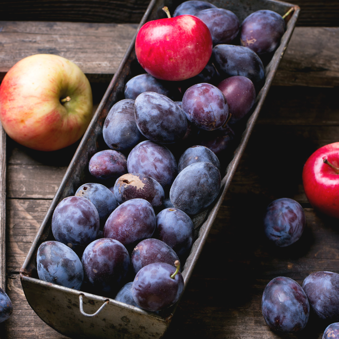 Pomme & Prune | Oursons infusions Sans Gluten – Image 3
